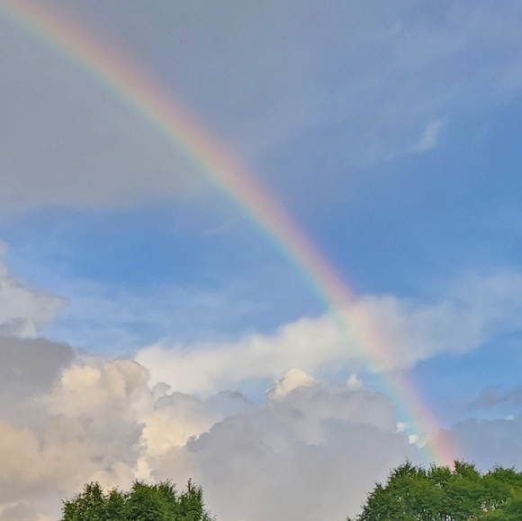 HI! I'M TERRI💙 - Picture 5 of 5